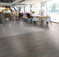 Forbo Eternal Wood 13412 shadow oak фото 2 | FLOORDEALER